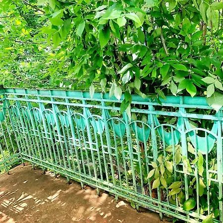 Vintage 2 With Balcony Apartman *